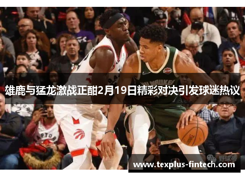 雄鹿与猛龙激战正酣2月19日精彩对决引发球迷热议