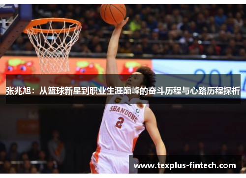 张兆旭：从篮球新星到职业生涯巅峰的奋斗历程与心路历程探析